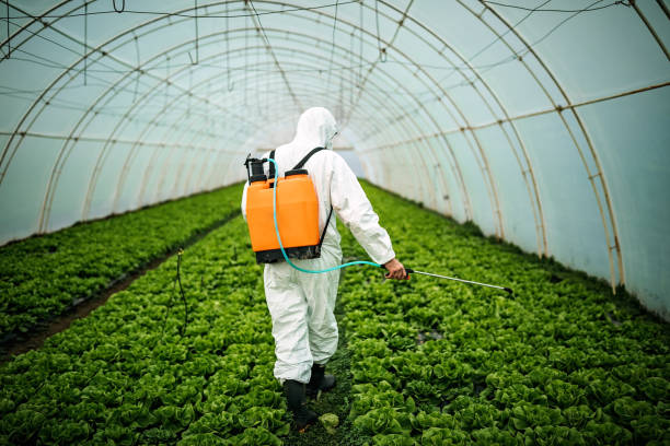 Best Ant Control Services  in Chino Valley, AZ