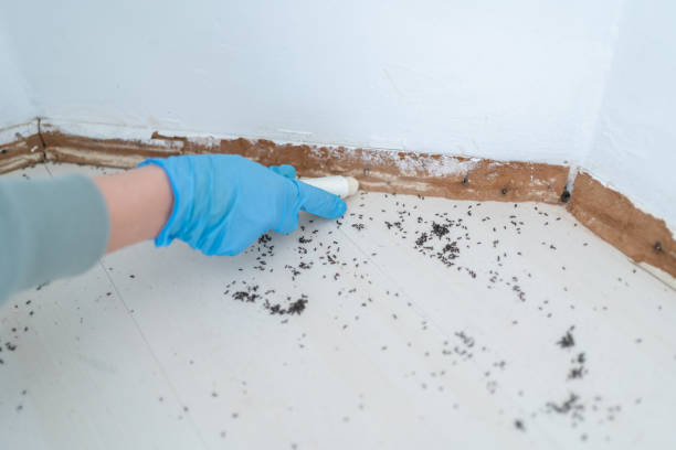 Chino Valley, AZ Pest Control Company
